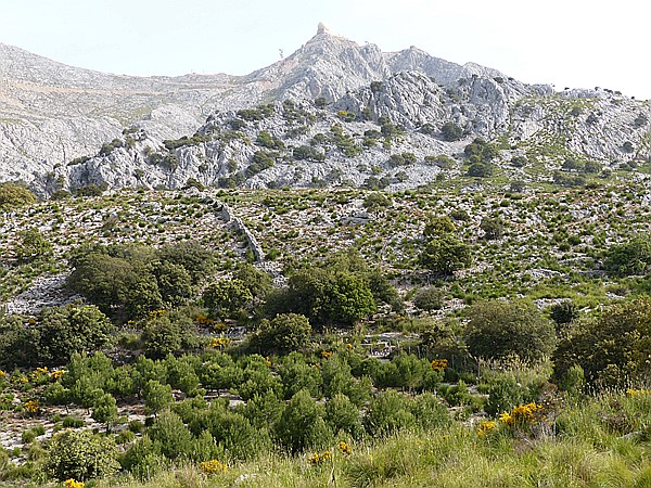 Foto:: Wanderung Cami des Barrances / Soller / 26.05.2016 (Foto,Fotos,Bilder,Bild,)