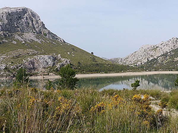 Foto:: Wanderung Cami des Barrances / Soller / 26.05.2016 (Foto,Fotos,Bilder,Bild,)
