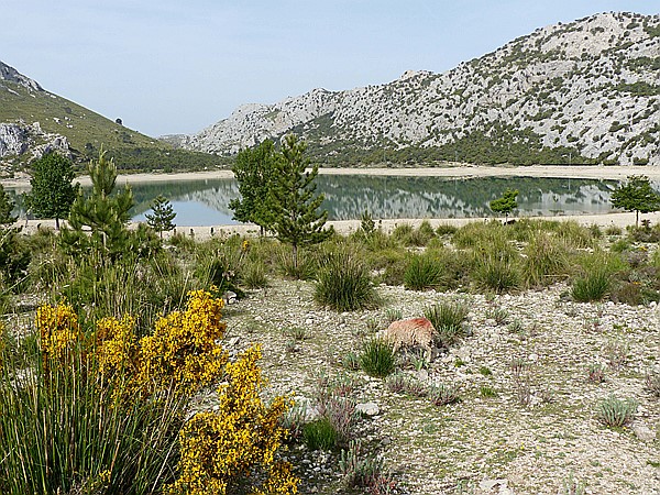 Foto:: Wanderung Cami des Barrances / Soller / 26.05.2016 (Foto,Fotos,Bilder,Bild,)