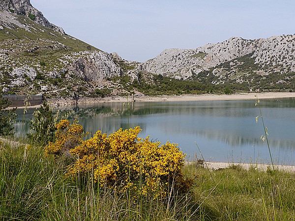 Foto:: Wanderung Cami des Barrances / Soller / 26.05.2016 (Foto,Fotos,Bilder,Bild,)