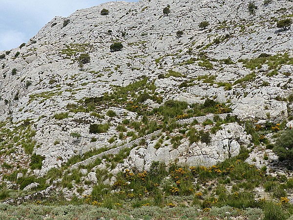 Foto:: Wanderung Cami des Barrances / Soller / 26.05.2016 (Foto,Fotos,Bilder,Bild,)