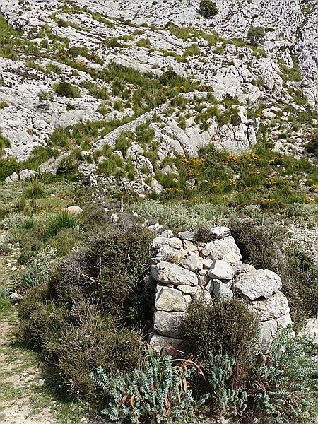Foto:: Wanderung Cami des Barrances / Soller / 26.05.2016 (Foto,Fotos,Bilder,Bild,)