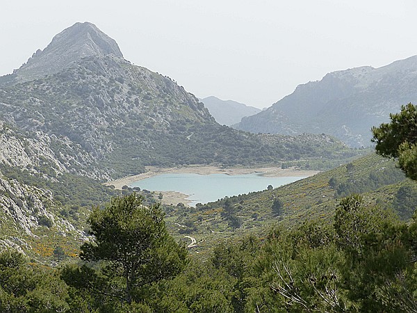 Foto:: Wanderung Cami des Barrances / Soller / 26.05.2016 (Foto,Fotos,Bilder,Bild,)