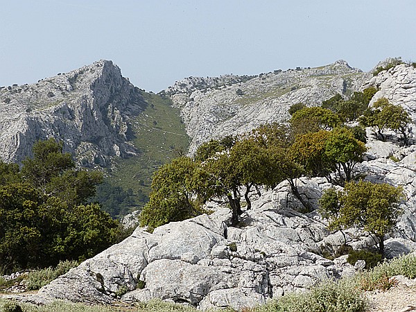 Foto:: Wanderung Cami des Barrances / Soller / 26.05.2016 (Foto,Fotos,Bilder,Bild,)