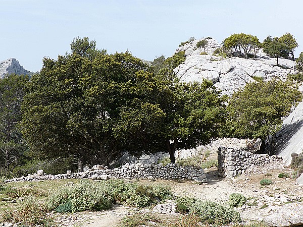 Foto:: Wanderung Cami des Barrances / Soller / 26.05.2016 (Foto,Fotos,Bilder,Bild,)