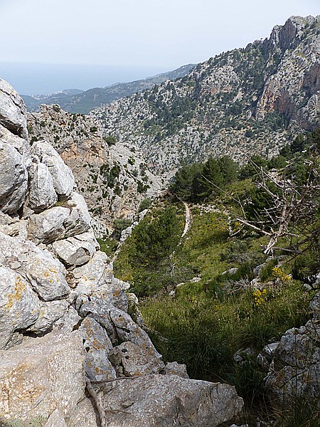 Foto:: Wanderung Cami des Barrances / Soller / 26.05.2016 (Foto,Fotos,Bilder,Bild,)