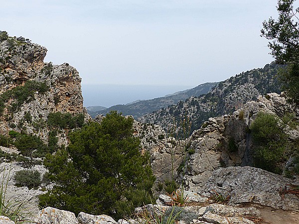 Foto:: Wanderung Cami des Barrances / Soller / 26.05.2016 (Foto,Fotos,Bilder,Bild,)