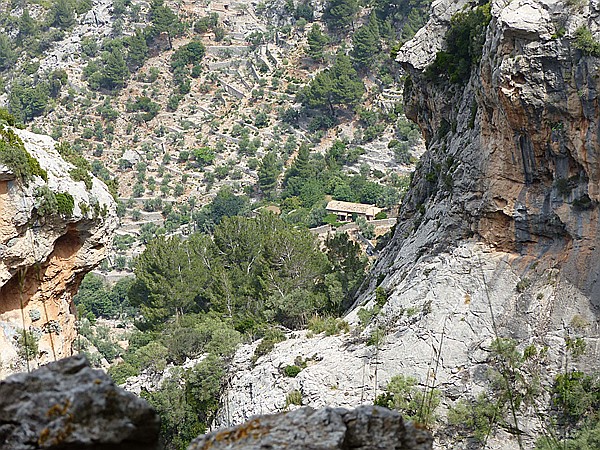 Foto:: Wanderung Cami des Barrances / Soller / 26.05.2016 (Foto,Fotos,Bilder,Bild,)