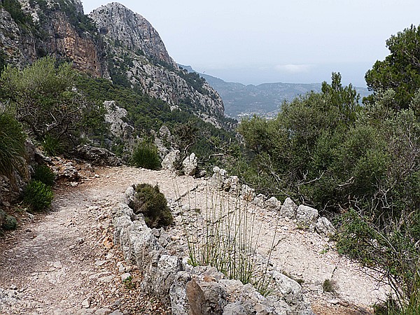 Foto:: Wanderung Cami des Barrances / Soller / 26.05.2016 (Foto,Fotos,Bilder,Bild,)