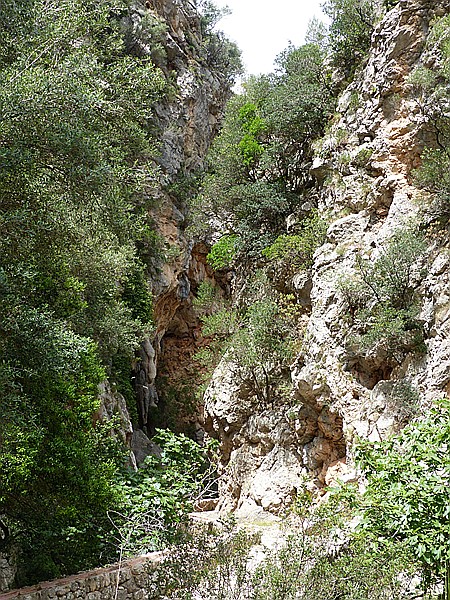 Foto:: Wanderung Cami des Barrances / Soller / 26.05.2016 (Foto,Fotos,Bilder,Bild,)