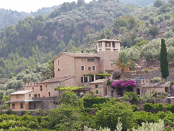 Foto:: Wanderung Richtung Sa Figuera / Port de Soller / 28.05.2016 (Foto,Fotos,Bilder,Bild,)