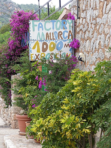 Foto:: Wanderung Richtung Sa Figuera / Port de Soller / 28.05.2016 (Foto,Fotos,Bilder,Bild,)