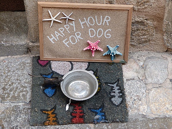 Foto:: Wanderung vom Mirador de ses Barques / Port de Soller / 28.05.2016 (Foto,Fotos,Bilder,Bild,)