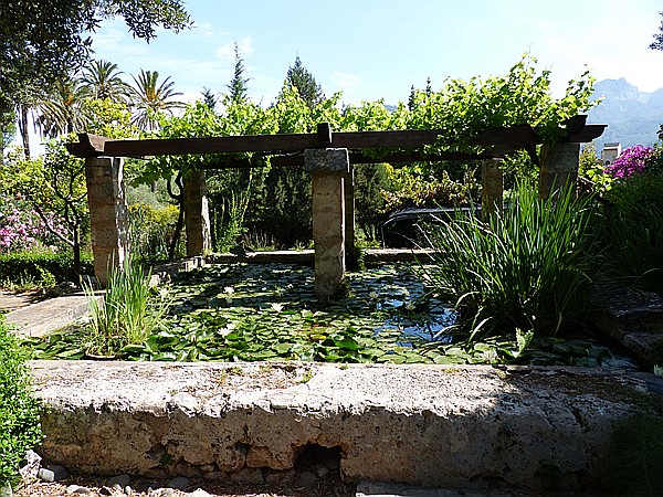 Foto:: Botanischer Garten / Soller / 30.05.2016 (Foto,Fotos,Bilder,Bild,)