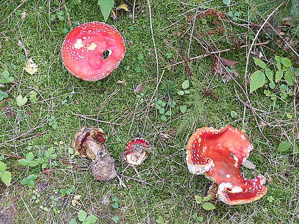 Foto:: Rundgang / Warmbad / 28.09.2016 (Foto,Fotos,Bilder,Bild,)