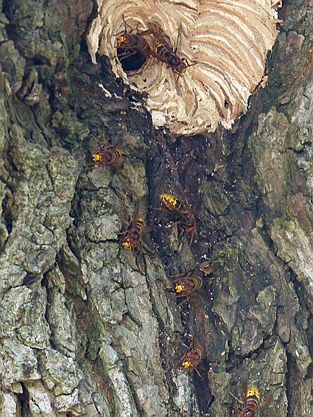 Foto:: Rundwanderung / Wolkenstein / 29.09.2016 (Foto,Fotos,Bilder,Bild,)