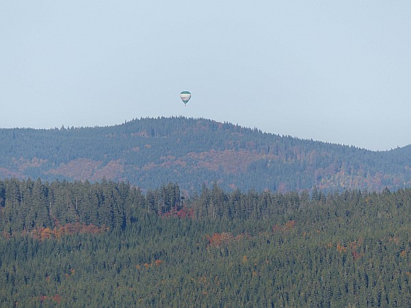 Foto:: Rundgang / Mitterfirmiansreut / 23.10.2016 (Foto,Fotos,Bilder,Bild,)