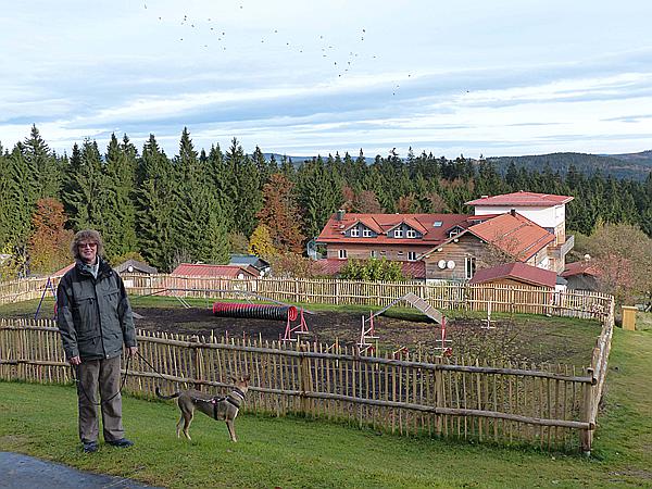 Foto:: Wanderung / Mitterfirmiansreut - Hammerklause / 24.10.2016 (Foto,Fotos,Bilder,Bild,)