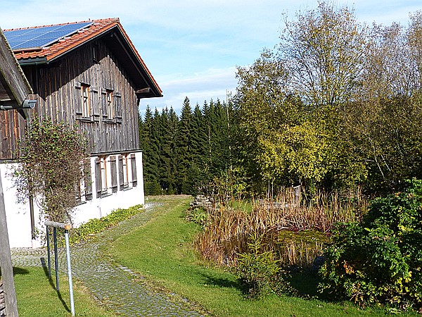 Foto:: Wanderung / Mitterfirmiansreut - Hammerklause / 24.10.2016 (Foto,Fotos,Bilder,Bild,)