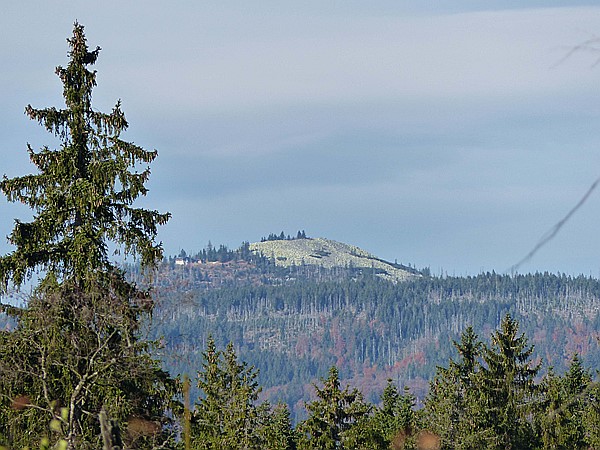 Foto:: Wanderung / Mitterfirmiansreut - Hammerklause / 24.10.2016 (Foto,Fotos,Bilder,Bild,)
