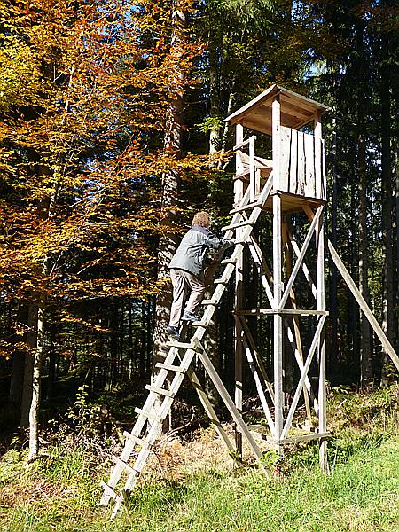 Foto:: Wanderung / Mitterfirmiansreut - Hammerklause / 24.10.2016 (Foto,Fotos,Bilder,Bild,)