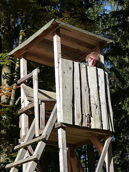 Foto:: Wanderung / Mitterfirmiansreut - Hammerklause / 24.10.2016 (Foto,Fotos,Bilder,Bild,)