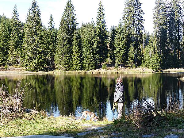 Foto:: Wanderung / Mitterfirmiansreut - Hammerklause / 24.10.2016 (Foto,Fotos,Bilder,Bild,)