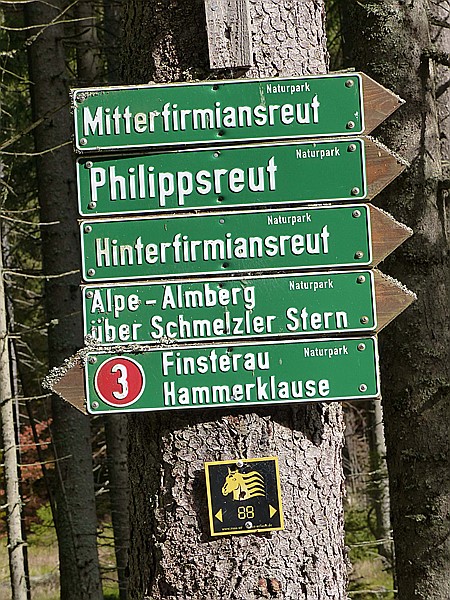 Foto:: Wanderung / Mitterfirmiansreut - Hammerklause / 24.10.2016 (Foto,Fotos,Bilder,Bild,)