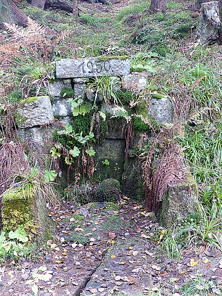 Foto:: Wanderung / Mitterfirmiansreut - Hammerklause / 24.10.2016 (Foto,Fotos,Bilder,Bild,)