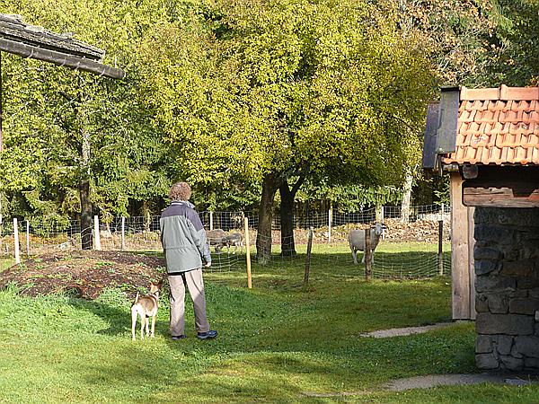 Foto:: Freilichtmuseum / Finsterau / 26.10.2016 (Foto,Fotos,Bilder,Bild,)