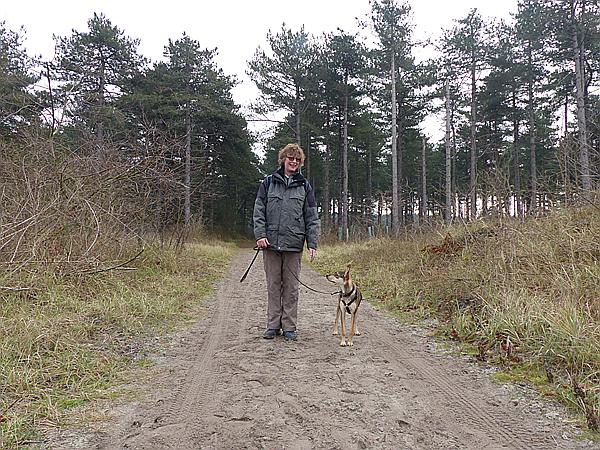 Foto:: Wanderung / Nieuw-Haamstede / 09.12.2016 (Foto,Fotos,Bilder,Bild,)