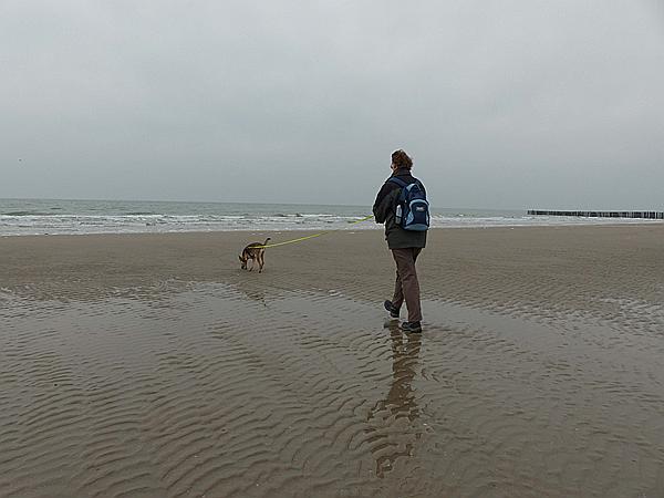 Foto:: Wanderung / Nieuw-Haamstede / 09.12.2016 (Foto,Fotos,Bilder,Bild,)