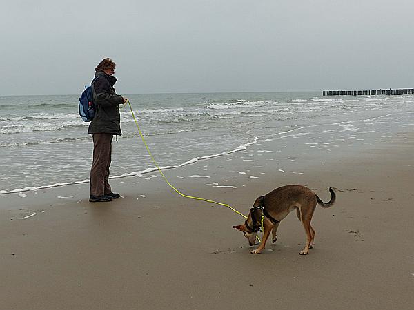 Foto:: Wanderung / Nieuw-Haamstede / 09.12.2016 (Foto,Fotos,Bilder,Bild,)