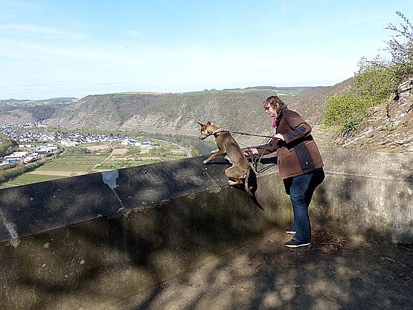 Foto:: Aussichtspunkt Moseltal / Winningen / 30.03.2017 (Foto,Fotos,Bilder,Bild,)