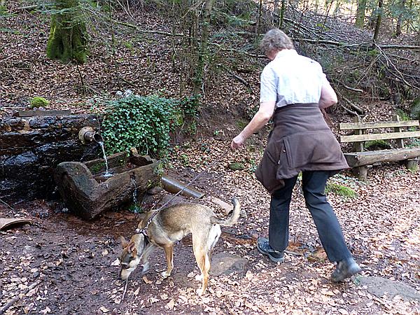 Foto:: Wanderung / Hauenstein / 31.03.2017 (Foto,Fotos,Bilder,Bild,)
