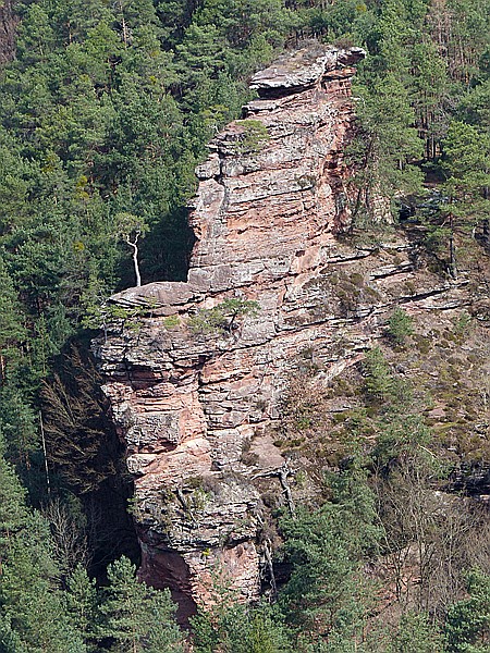 Foto:: Wanderung / Hauenstein / 31.03.2017 (Foto,Fotos,Bilder,Bild,)