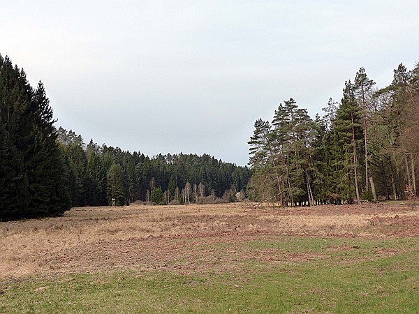 Foto:: Wanderung / Eppenbrunn / 01.04.2017 (Foto,Fotos,Bilder,Bild,)