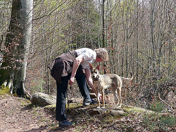 Foto:: Wanderung / Eppenbrunn / 01.04.2017 (Foto,Fotos,Bilder,Bild,)