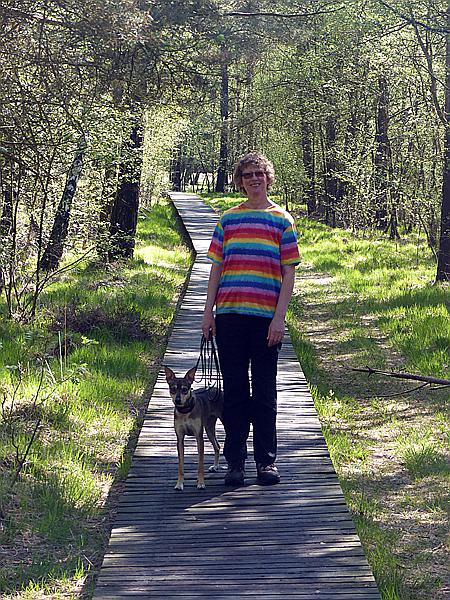Foto:: Pietzmoor / Schneverdingen / 14.05.2017 (Foto,Fotos,Bilder,Bild,)