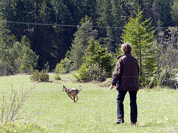 Foto:: Wanderung / Wallgau / 21.05.2017 (Foto,Fotos,Bilder,Bild,)