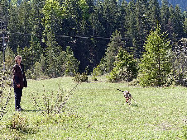 Foto:: Wanderung / Wallgau / 21.05.2017 (Foto,Fotos,Bilder,Bild,)