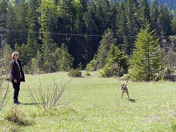 Foto:: Wanderung / Wallgau / 21.05.2017 (Foto,Fotos,Bilder,Bild,)