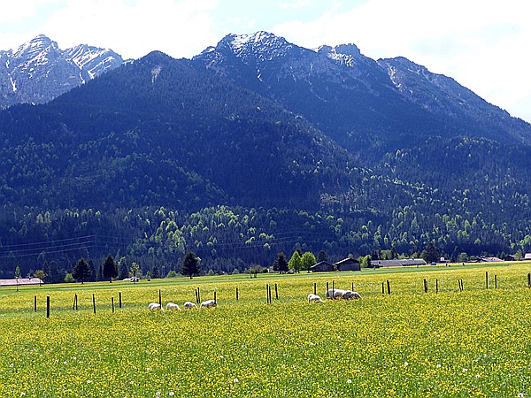 Foto:: Wanderung / Wallgau / 21.05.2017 (Foto,Fotos,Bilder,Bild,)