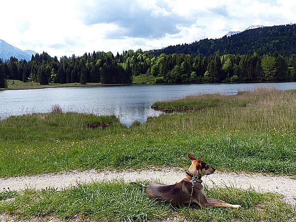 Foto:: Wanderung / Gerold - Kruen / 23.05.207 (Foto,Fotos,Bilder,Bild,)