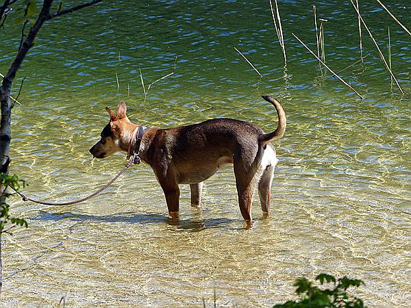 Foto:: Wanderung / Lautersee - Ederkanzel / 26.05.2017 (Foto,Fotos,Bilder,Bild,)