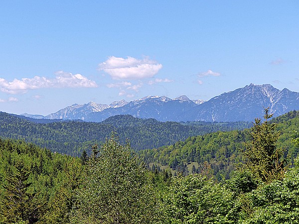 Foto:: Wanderung / Lautersee - Ederkanzel / 26.05.2017 (Foto,Fotos,Bilder,Bild,)