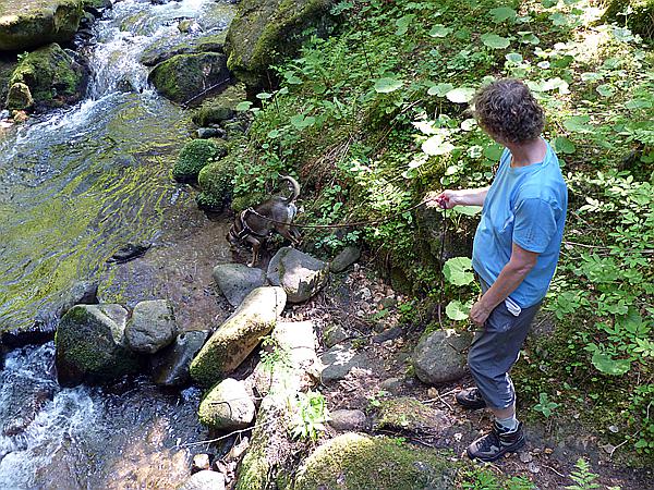 Foto:: Wanderung / Oberinn - Oberbozen - Oberinn / 28.05.2017 (Foto,Fotos,Bilder,Bild,)