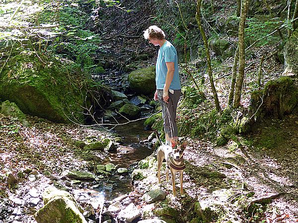 Foto:: Wanderung / Oberinn - Oberbozen - Oberinn / 28.05.2017 (Foto,Fotos,Bilder,Bild,)