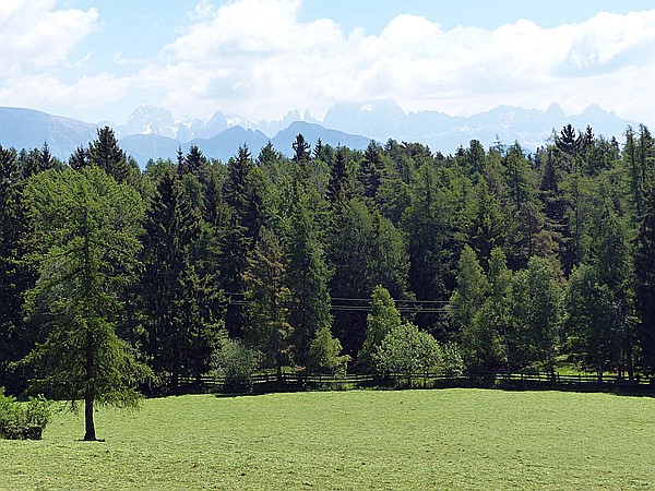 Foto:: Wanderung / Oberinn - Oberbozen - Oberinn / 28.05.2017 (Foto,Fotos,Bilder,Bild,)