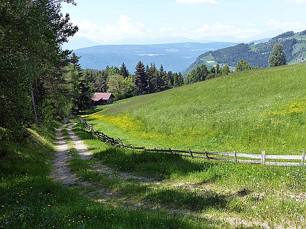 Foto:: Wanderung / Oberinn - Oberbozen - Oberinn / 28.05.2017 (Foto,Fotos,Bilder,Bild,)